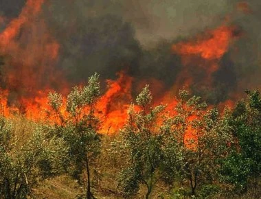 Εύβοια: Προφυκακιστέος ο 32χρονος που έβαζε φωτιές (φωτό)